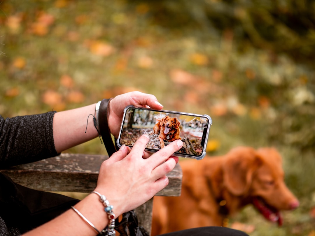 Content photography for digital platforms and social media